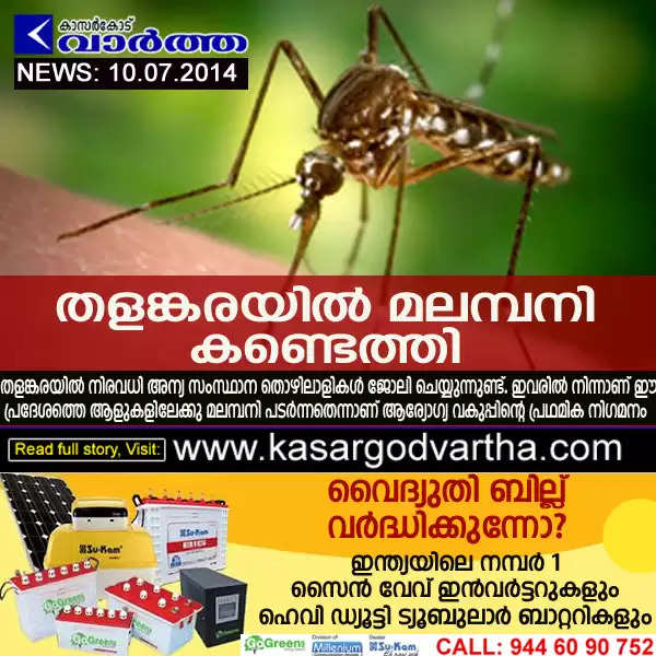 തളങ്കരയില്‍ മലമ്പനി കണ്ടെത്തി; ആരോഗ്യ വകുപ്പ് പരിശോധന നടത്തി