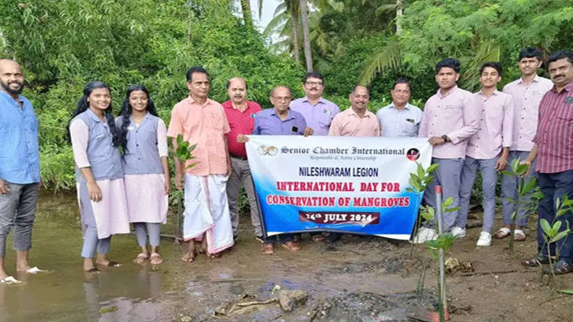 Mangrove Planting Drive in Nileshwaram