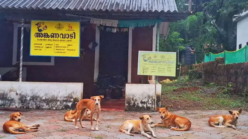 ABC Center Establishment Proposed in Muliyar, Kasaragod