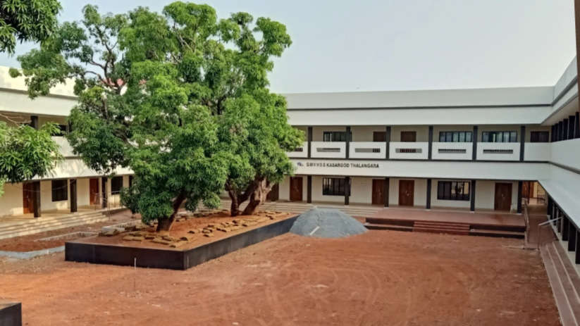 School Attack During Cultural Festival