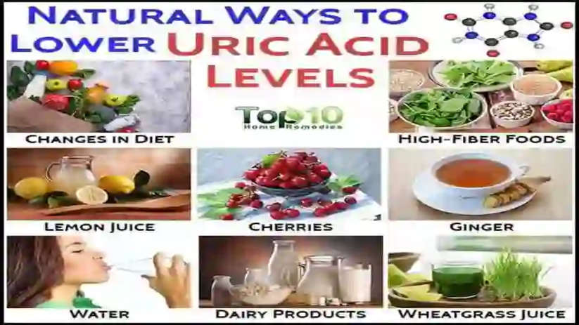 How to Reduce Uric Acid: Lower Levels Naturally, Kochi, News, Top Headlines, Uric Acid, Reduced, Lower Levels, Food, Health, Health Tips, Kerala News