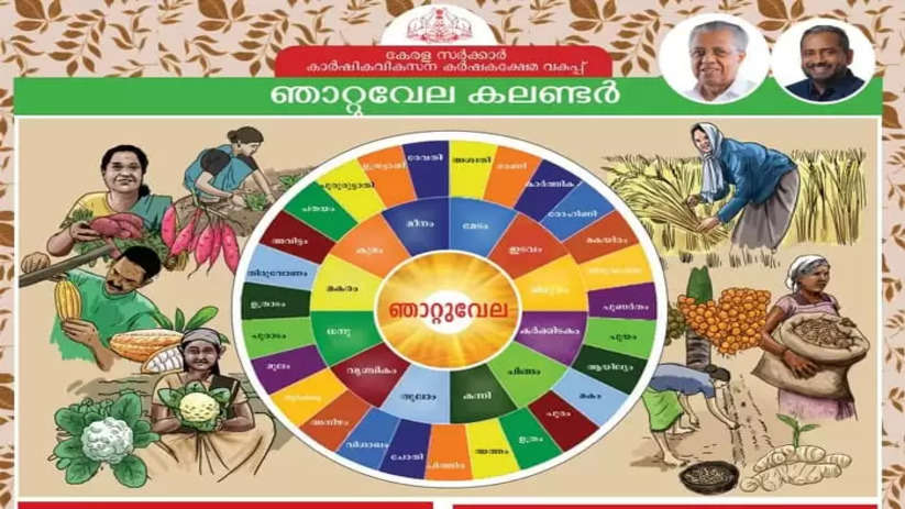 Know Thiruvathira Njatuvela Planting Season and Agrarian Calender in Kerala, Know, Thiruvathira Njatuvela, Njatuvela 