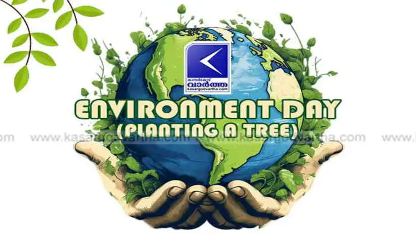 environment day winners announced