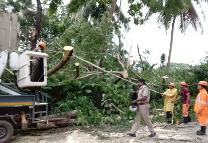 kasaragod cyclone wreaks