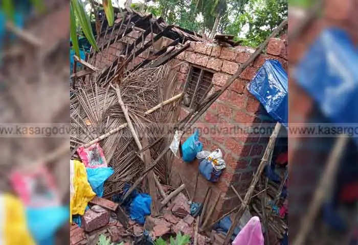 kasaragod widespread damage due to wind and rain