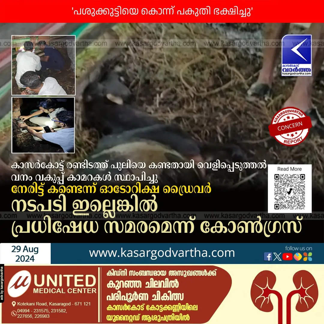 Tiger Attacks Livestock in Kasaragod