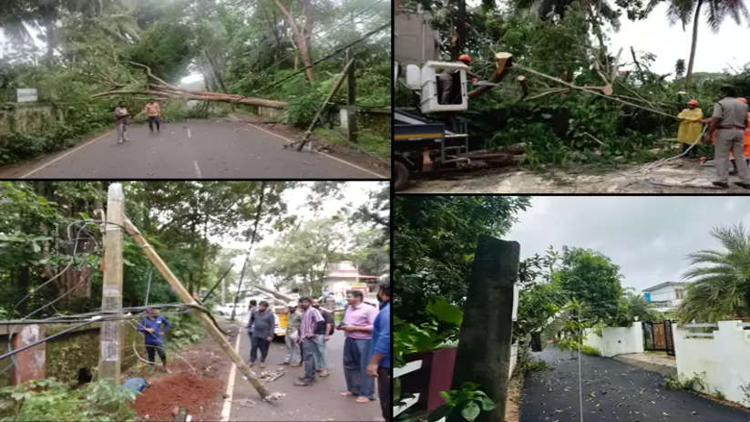 kasaragod cyclone wreaks