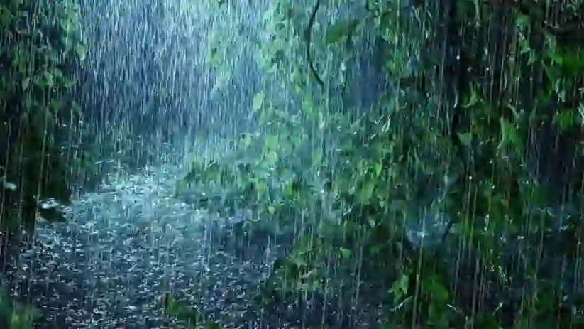 Heavy rains: elderly woman's  Dead body found in Pazankulam canal, Pathanamthitta, News, weather, Top Headlines, Kerala News
