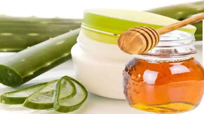 Health Benefits Of Aloe Vera and Honey, Kochi, News, Top Headlines, Health Benefits, Aloe Vera, Honey, Health, Health Tips, Kerala News