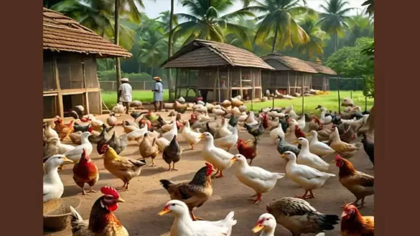 Bird Flu Outbreak: Farmers in 4 Districts Face Severe Hardship