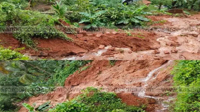 Landslide in Kasargod Koovara hills area; Widespread crop damage, Landslide, Koovara, Hills Area, Widespread