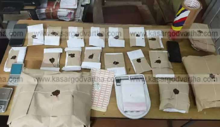 Massive Drug Seizure in Uppala; Financial Loss Linked to Drug Trade