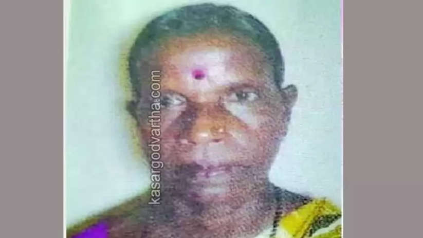 Uppala: Housewife died of cobra snake bite, Uppala, News, Kerala, Kasargod