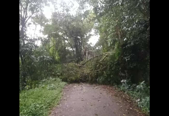 kasaragod cyclone wreaks