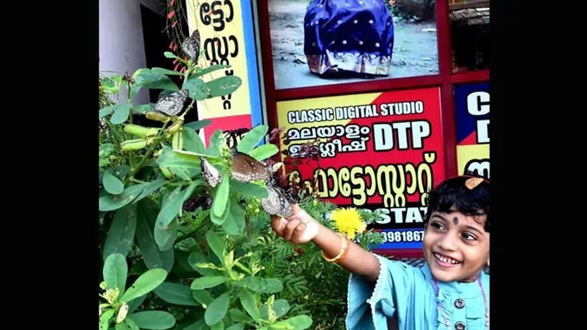 Butterfly Paradise: A Garden in Karinthalam